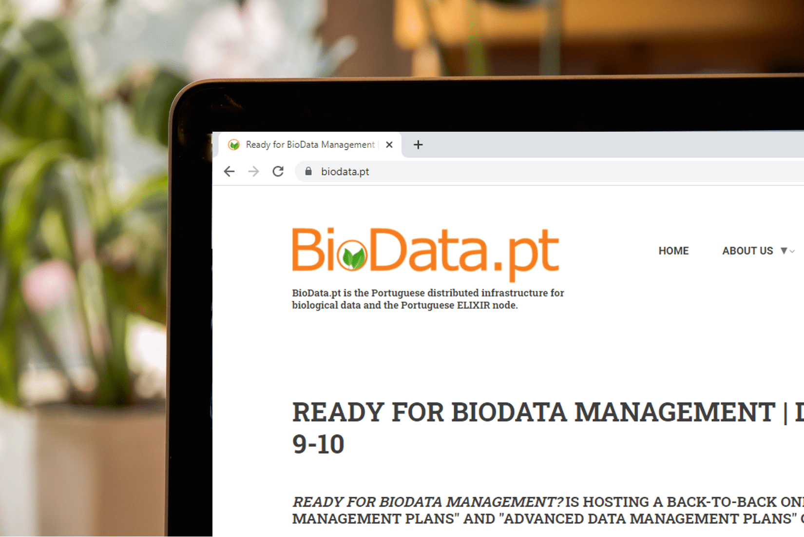 INESC-ID-BIODATA